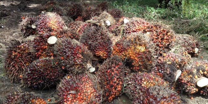 RI Dorong Solusi Kebijakan Sawit