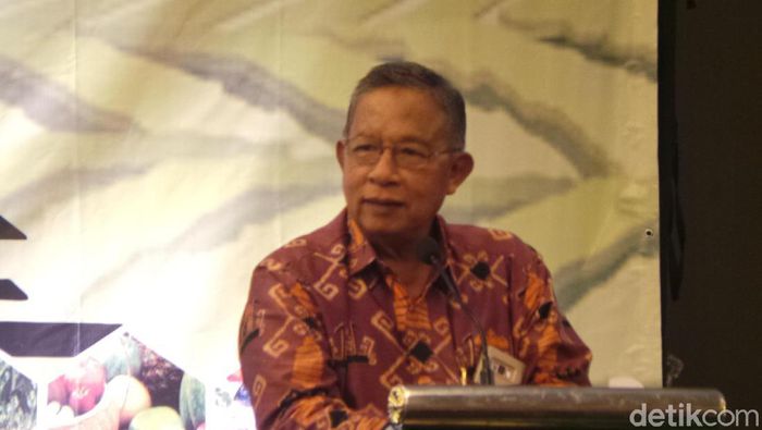 Darmin Ultimatum Kementan dan BPDP Peremajaan Sawit Harus Jalan