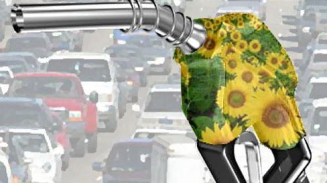 Tak Terapkan Aturan BBM B20 Badan Usaha Bakal Kena Denda Rp6.000/Liter