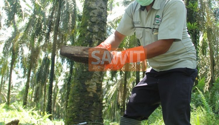 Mengoptimalkan Serangga Untuk Pengendalian Hama Dan Produksi