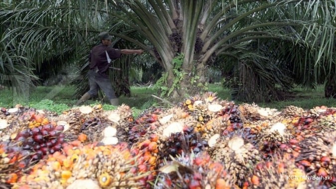 Industri Sawit Mampu Tambal Defisit Perdagangan