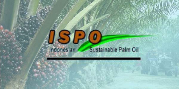 10 Juta Ton CPO Indonesia Telah Bersertifikat ISPO
