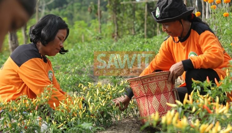 SUSTAINABLE DEVELOPMENT GOALS INDUSTRI SAWIT NASIONAL