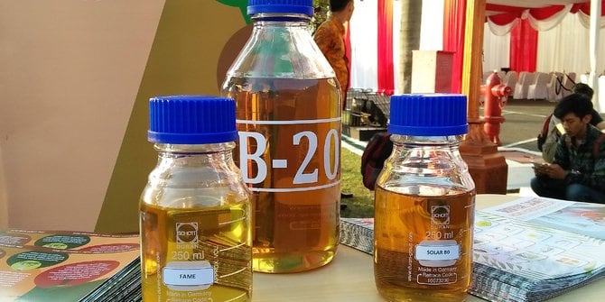 Mengupas Kendala di Balik Penerapan B20 di Indonesia