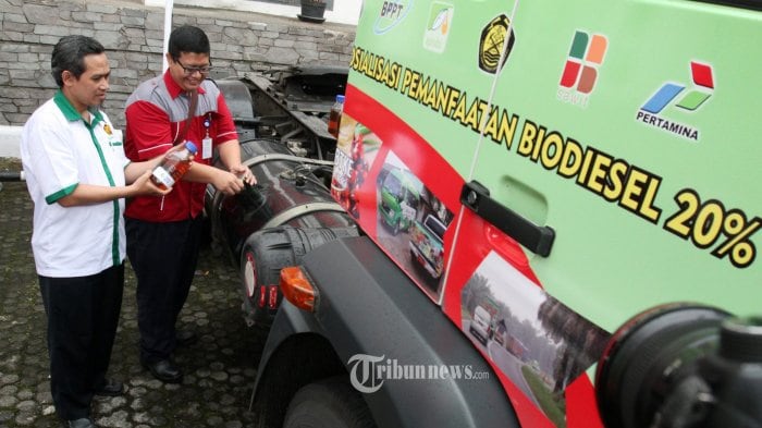 Perluasan Penggunaan Bahan Bakar Biodiesel Akan Serap 1 Juta Ton CPO