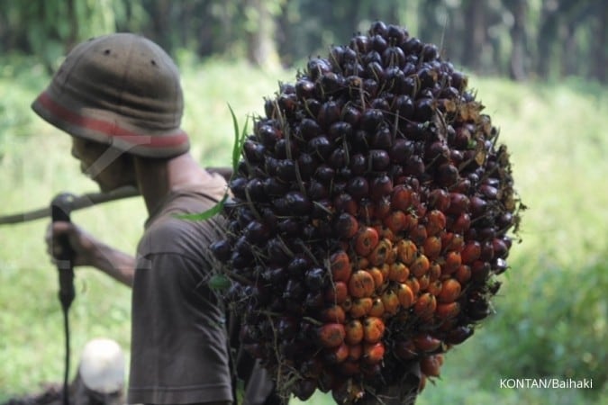 Akhir Tahun, Harga CPO Bisa Capai US$ 540 Per Ton