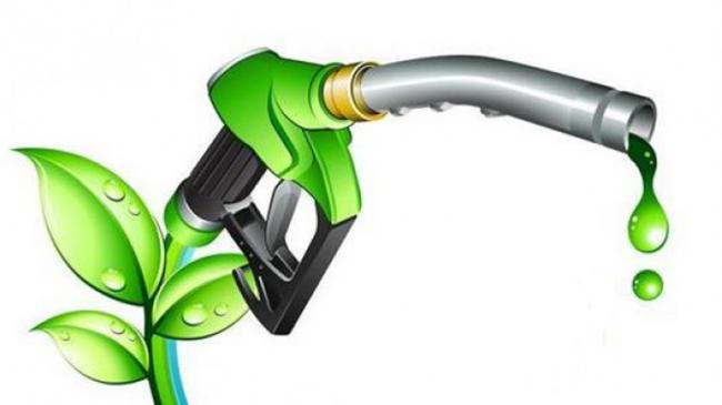 Pertamina Kaji Proyek Kilang Hasilkan Green Diesel