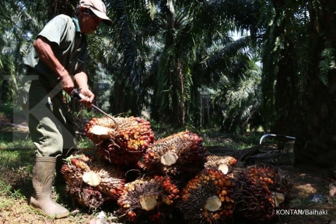 Industri Hilir Kelapa Sawit Terus Dikembangkan Untuk Kesehatan dan Kecantikan