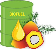 Proses Penyaluran Bahan Baku Biofuel Dipangkas