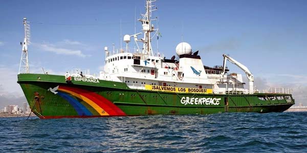 Menguji Nyali Pemerintah Bekukan Greenpeace