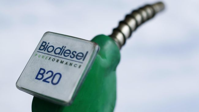 Produsen Biodiesel Minta Kepastian Pasar Domestik