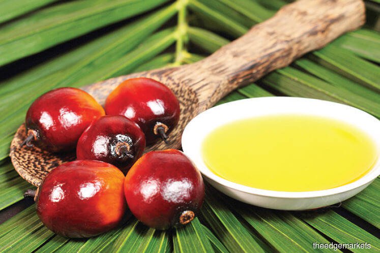 Removing Indonesia palm oil levy will not help prices — refiner group