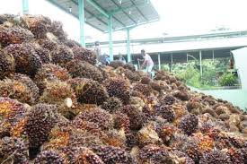 GIMNI Kita Makin Kuat Hadapi Kampanye Hitam