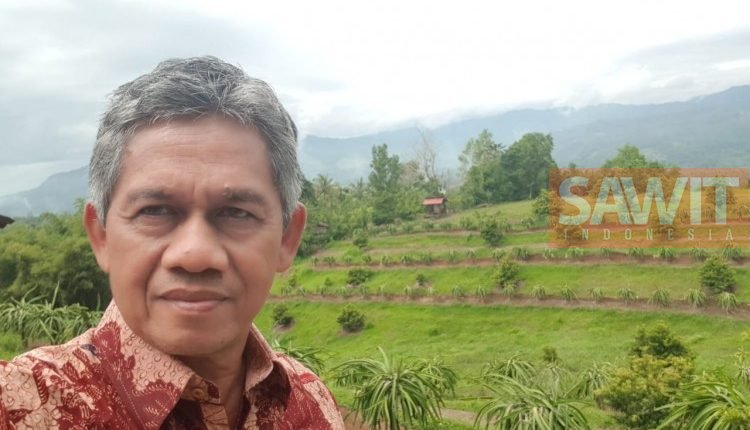 Tidak Dapat Relaksasi Tarif, Ekspor Sawit Ke Tiongkok Tetap Tinggi