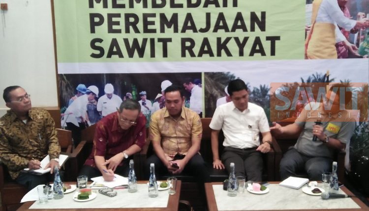 Peremajaan Sawit Butuh Dukungan Semua Pihak