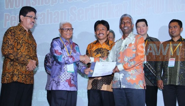 Produksi Sawit Bersertifikat ISPO Tembus 11 Juta Ton