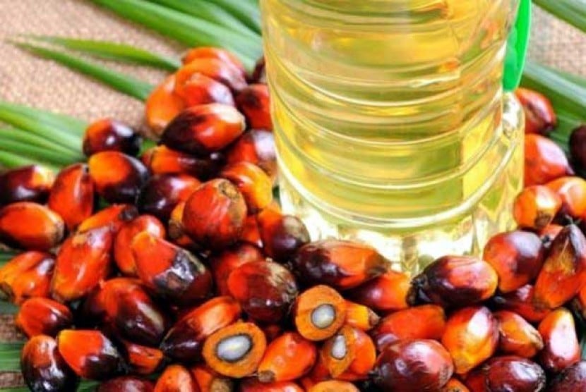 Dongkrak Harga CPO dari Ekspor dan Biosolar