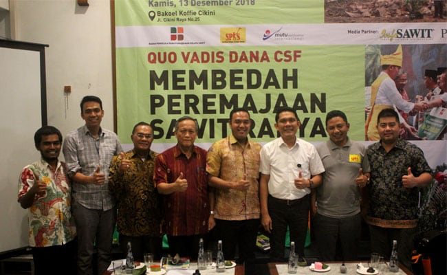 Praktik Budidaya Sawit Berkelanjutan Hasilkan Tata Kelola yang Baik
