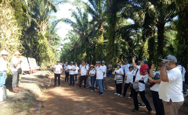 SESPARLU dan BPDPKS Lakukan Studi Lapangan ke Perkebunan Kelapa Sawit