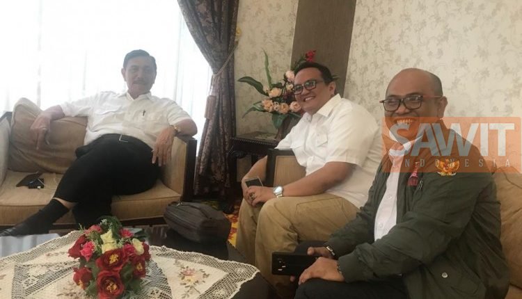 Bertemu Menko Luhut, Petani Sawit Sampaikan Solusi Persoalan Sawit