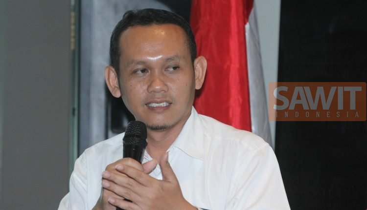 Pelepasan Kawasan Hutan Menjadi Sawit Bagian Fungsi Ekonomi