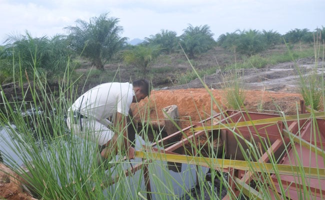 Manajeman Warna, Untuk Perbaikan Berkelanjutan di Sawit