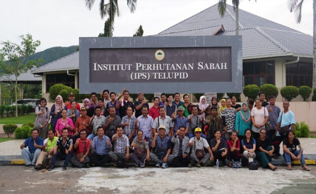 PBB Dukung Peningkatan Ekonomi Petani Sawit Lewat Program SSFA