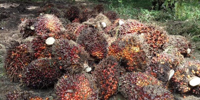 PTPN III Kembangkan Bahan Bakar B50 untuk Kendaraan Roda Empat