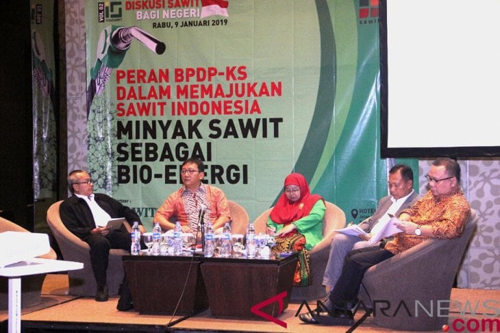 Minyak Sawit Potensial Dikembangkan Sebagai Bioenergi di Indonesia