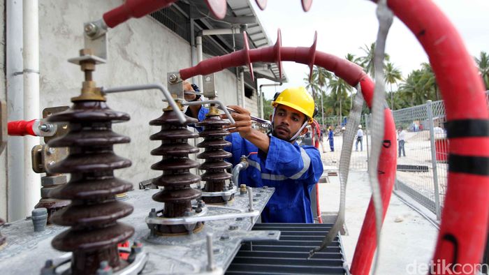 4 Pembangkit PLN Pakai 100% Minyak Sawit Tahun Ini