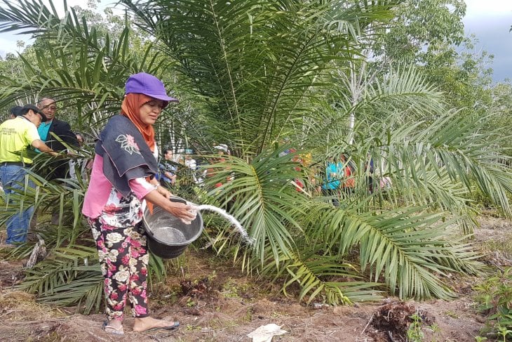 Kampanye hitam industri sawit harus cepat ditangani