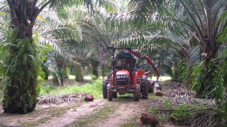 Inilah Alasan Permentan 05/2019 Diuji Materiil Ke Mahkamah Agung