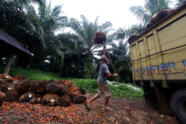 Industri Sawit Perlu Dukungan Pemda Hingga Perdesaan
