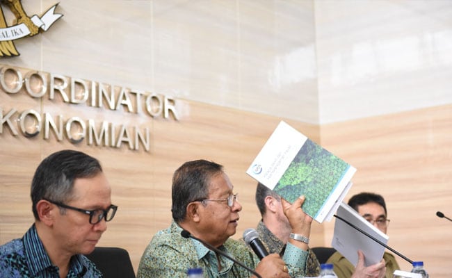 Studi IUCN: Sawit Lebih Hemat Mengunakan Lahan
