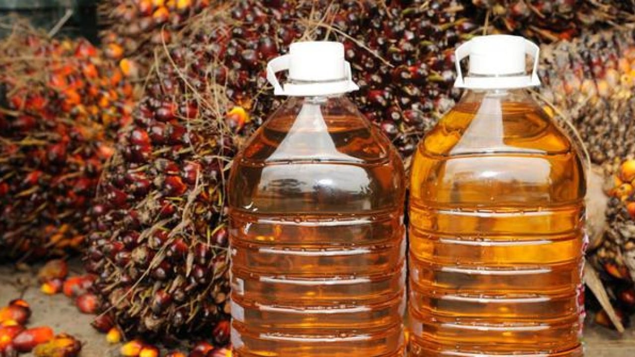 Industri Minta PPN Migor Kemasan Dihapus