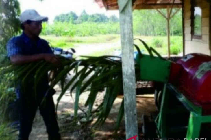 Butuh Dana Besar Untuk Olah 8 Juta Ton Limbah Peremajaan Sawit
