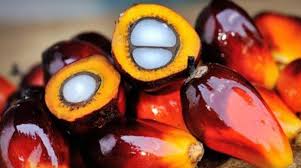 Agar Industri Hilir Bangkit Lagi