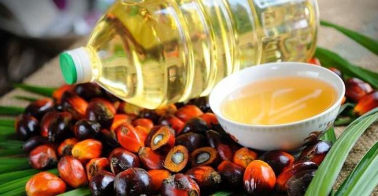 Petani Eropa Cemburu Dengan CPO Indonesia