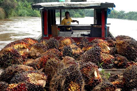 Teknolog Novel Algae Bisa Beri Nilai Ekonomis pada Limbah Sawit