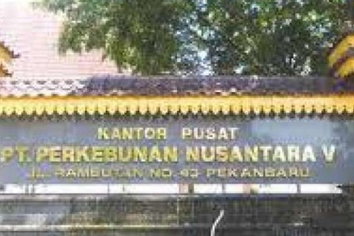 Relawan Apresiasi Jokowi Kembalikan 2.800 Hektare PTPN V ke Masyarakat