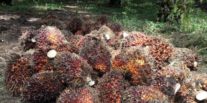 Pemerintah Dukung Pengelolaan Limbah Industri Sawit
