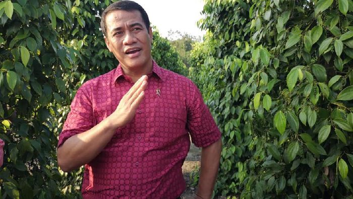 DPD Nilai Kementan Berhasil Genjot Ekspor Pertanian