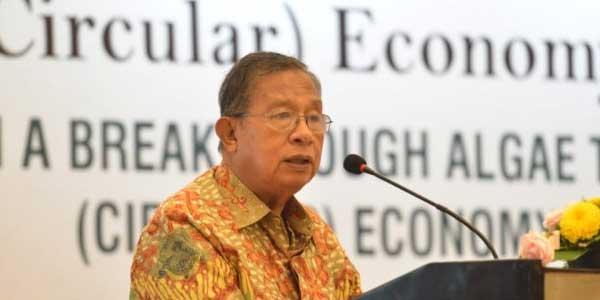 Menko Darmin Dukung Pengelolaan Limbah Sawit