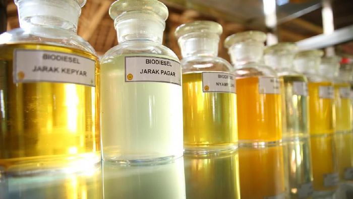 Biodieselnya Dihambat, RI Siap Lawan Uni Eropa di WTO