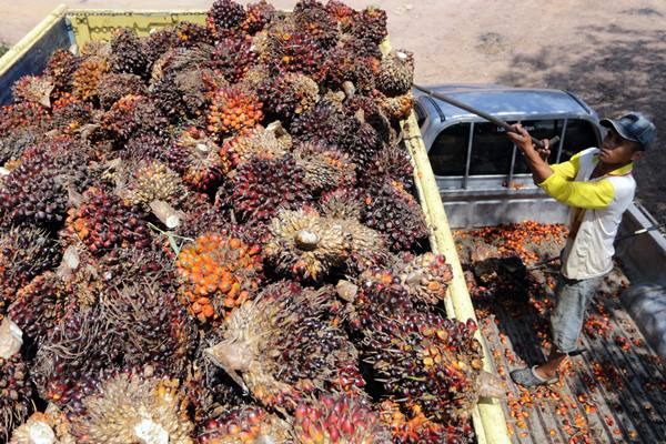 Kemendag Siap Fasilitasi Akses Pasar CPO Indonesia ke Rusia