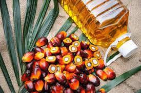 Extension of Zero Export Levy Heaps Pressure on Indonesian Palm Oil Refining