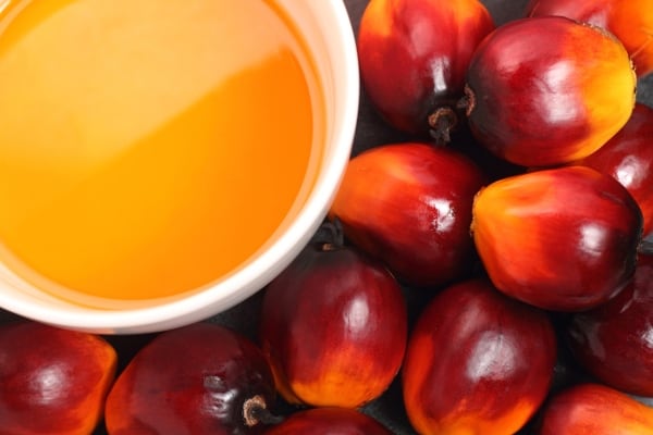 Bio Pelumas Bisa Pacu Serapan RBD Olein Dalam Negeri