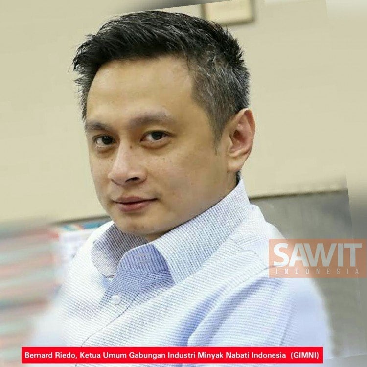 GIMNI: Jika Sawit Diganti Minyak Nabati, Negara Terbebani Impor