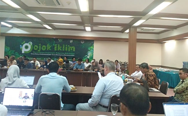 Moratorium Sawit: Bakal Tetapkan Data Tutupan Kebun Sawit 16,38 juta ha