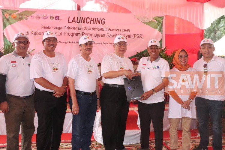 Penyaluran Dana PSR Capai Rp 1,7 Triliun